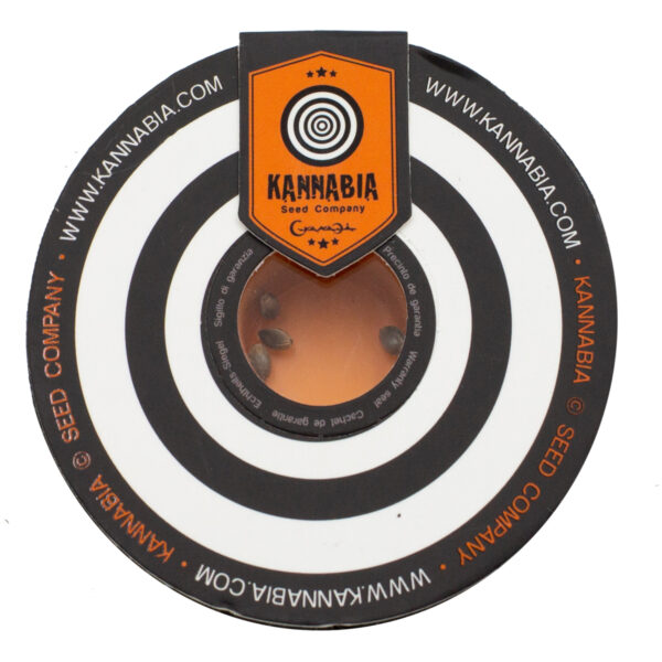 Kannabia Swiss Dream Rosé CBD Autofloraison 10 graines