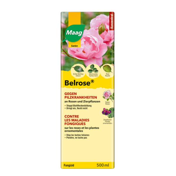 Maag Belrose fongicide contre maladies cryptogamiques 500ml