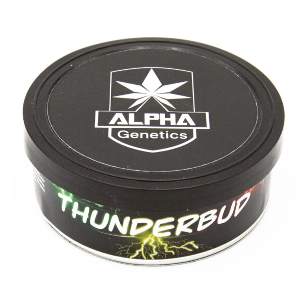 Alpha Genetics Thunderbud CBD graines 5