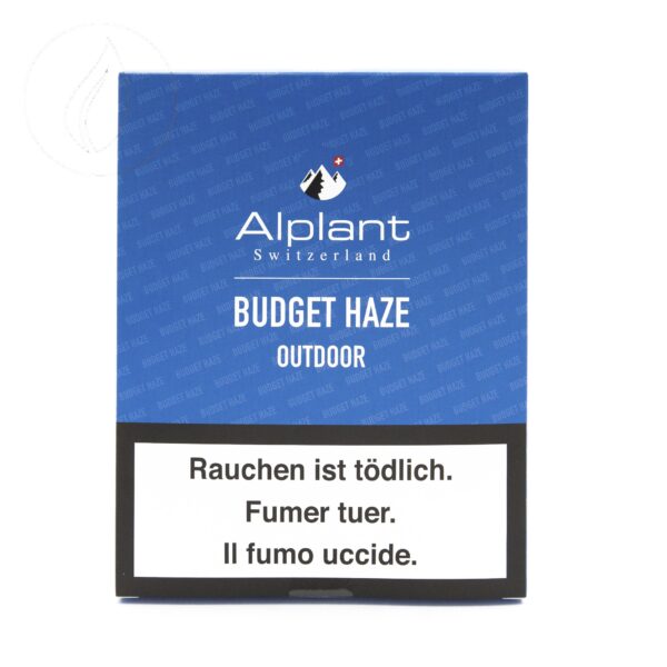 Alplant Budget Haze CBD 50g — Fleur Outdoor Grand Sac Économique – Image 1