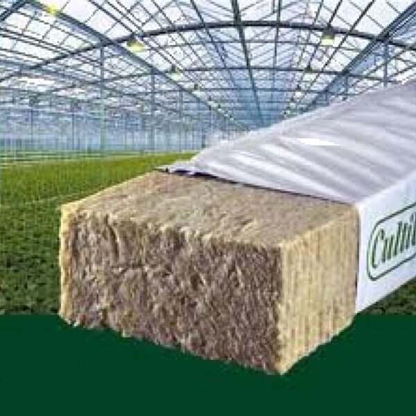 Cultilene Slab Laine de Roche 1 m (15×7.5 cm)