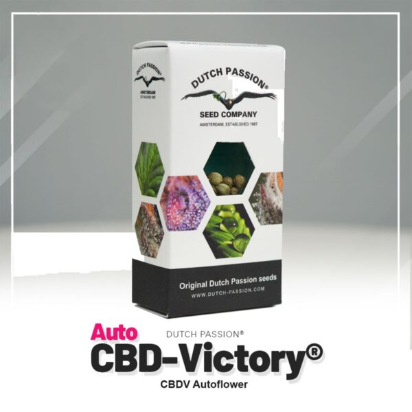Dutch Passion Auto CBD Victory - Graines Féminisées 3 pcs