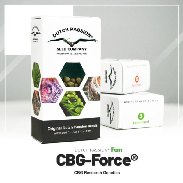 Dutch Passion CBG Force - Graines Féminisées 3 pcs – Image 1