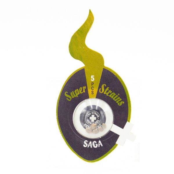 Super Strain Seeds Saga CBD graines