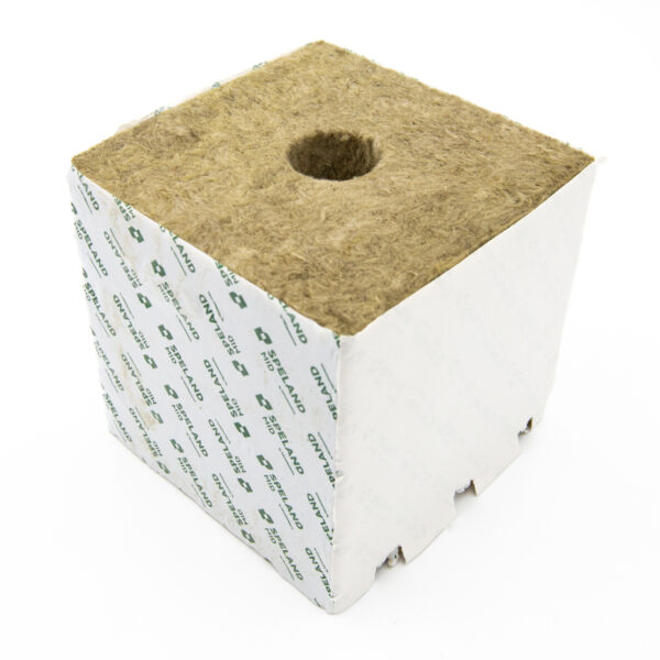 Speland Seedlings Block